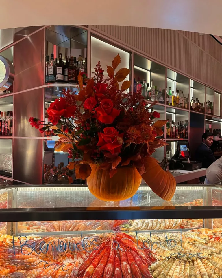 Composición de Impacto «Vibrance»