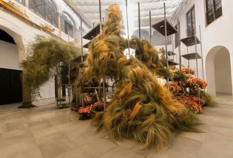 Instalación Efímera «Arquitectura Viva»